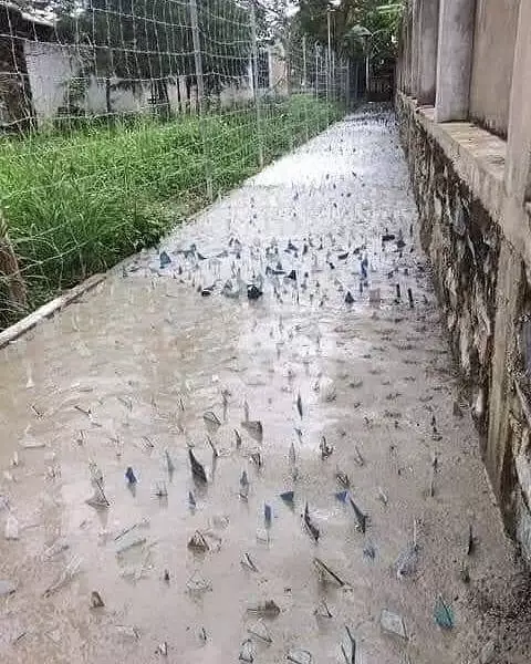 desain jalan gang yang antimainstream © 2021 instagram.com