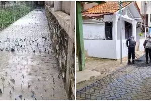 11 Potret lucu desain gang permukiman ini bikin gagal paham