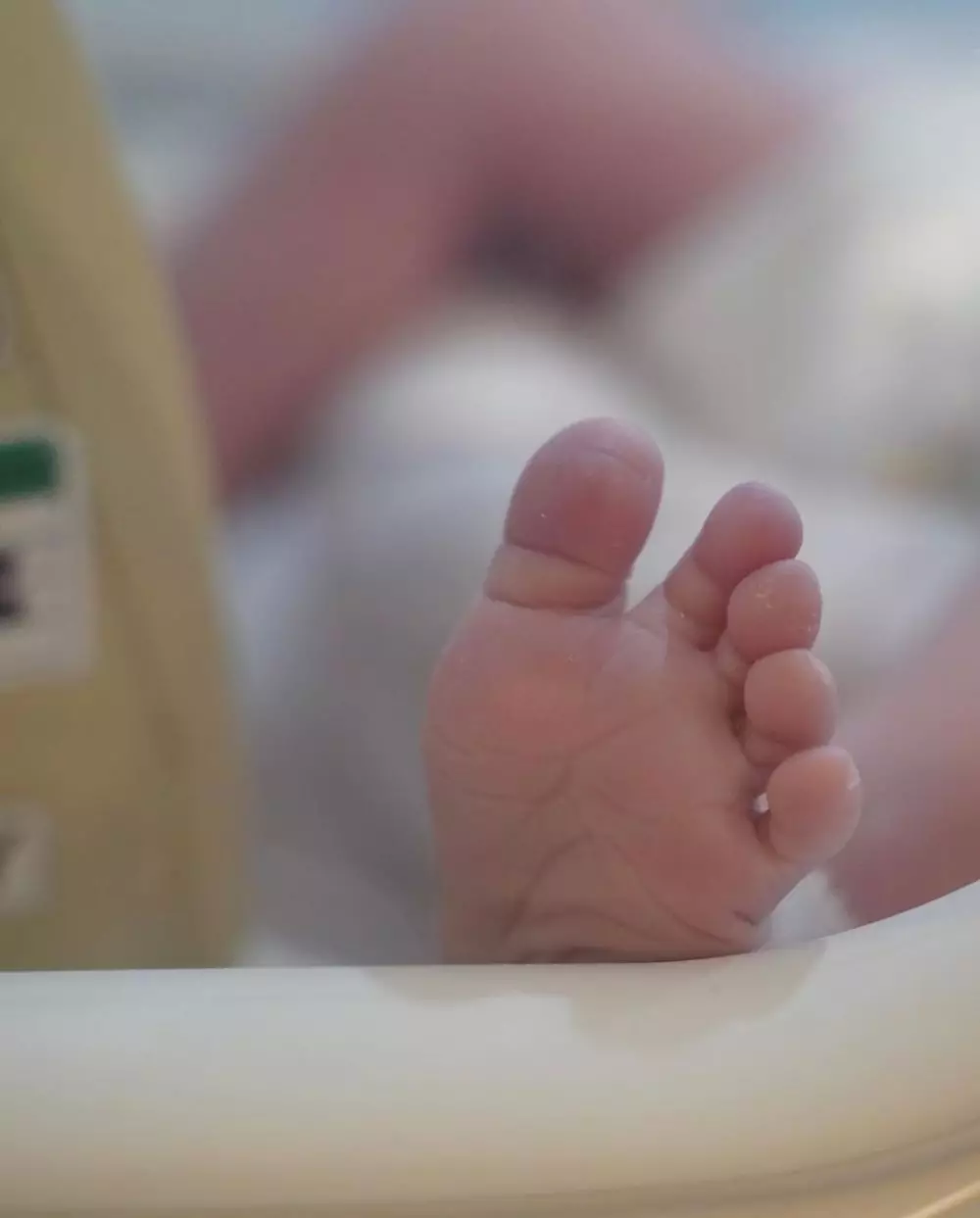 cerita kelahiran nola b3  © instagram