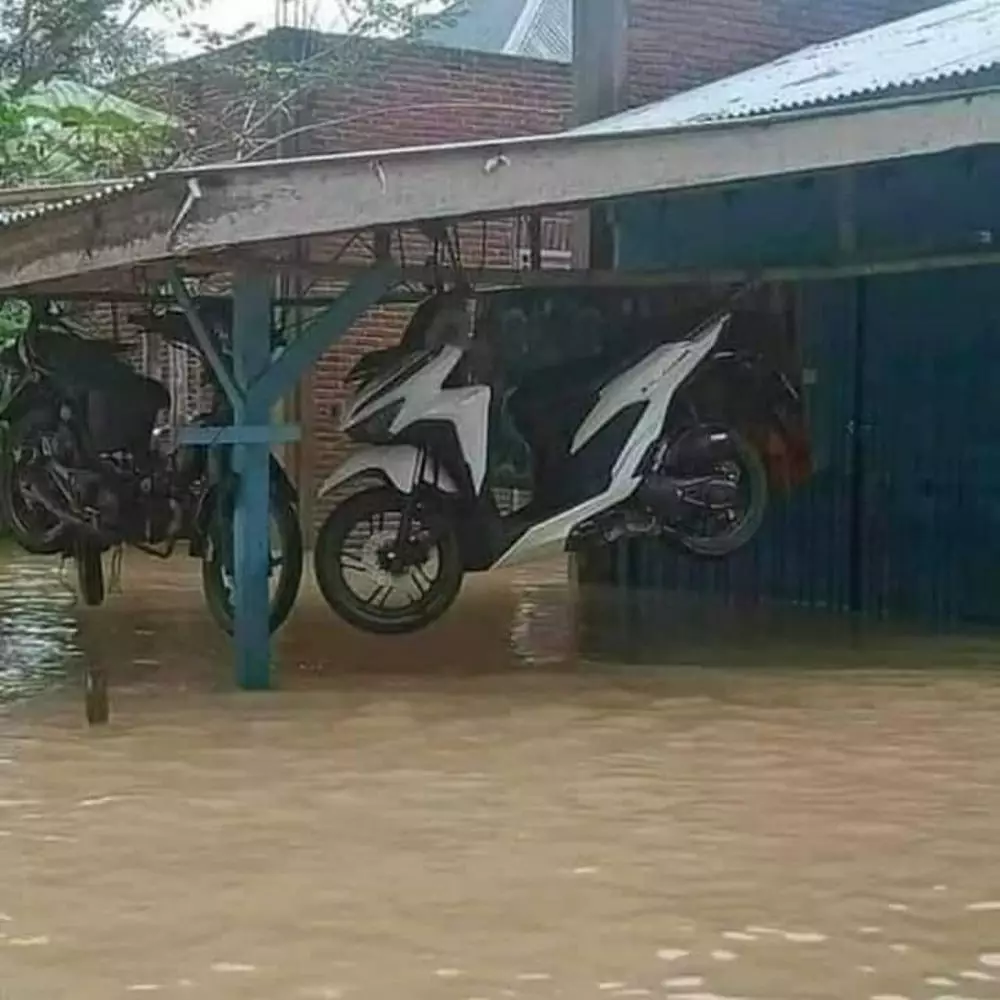 cara orang biar makin aman bingungin © 2021 1cak.com