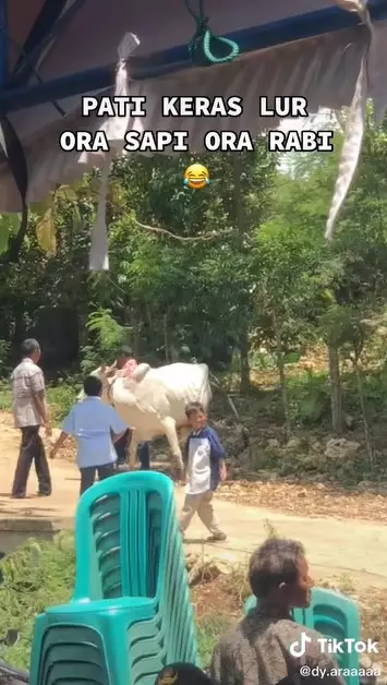 Momen lamaran warga Pati © 2021 TikTok