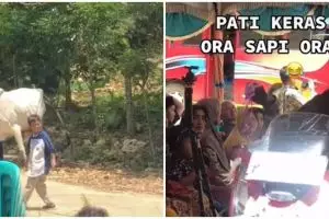 Momen lamaran warga Pati, seserahan sapi jadi sorotan