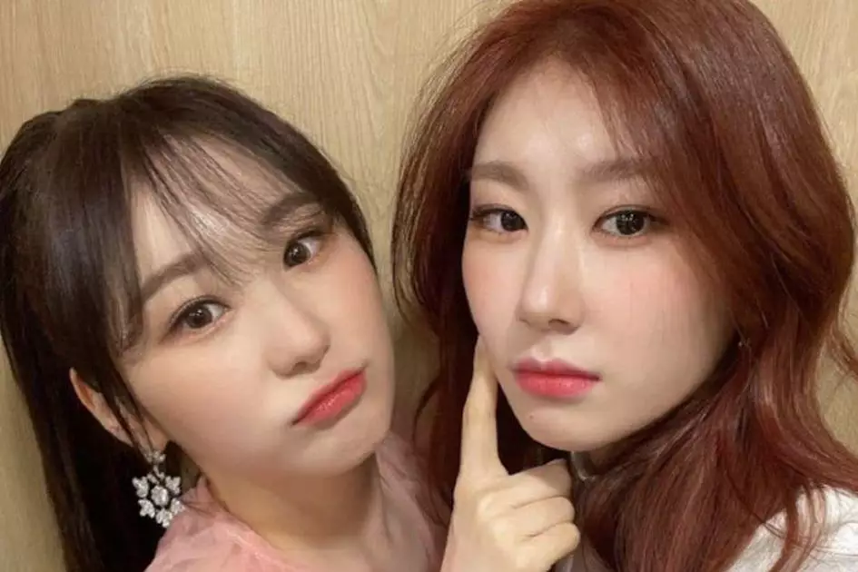 pasang seleb korea ini ternyata kakak adik Berbagai sumber 