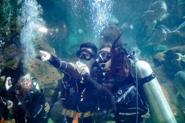 lamaran selebgram © 2021 Instagram