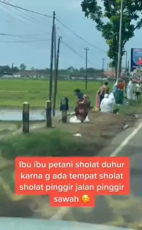 Video ibu-ibu petani salat di pinggir jalan © 2021 Instagram Video ibu-ibu petani salat di pinggir jalan © 2021 Instagram