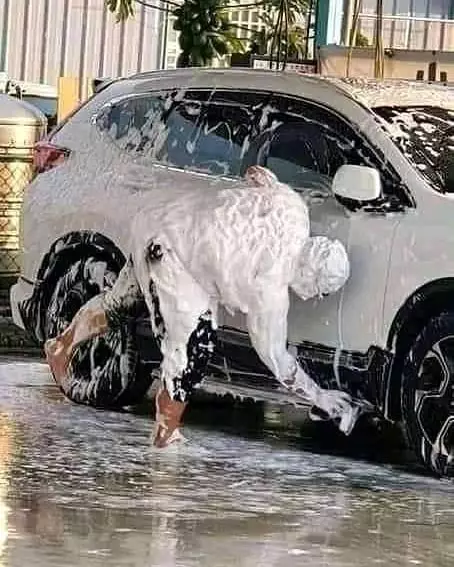 akibat terlalu memaksa malah jadi repot © 2021 instagram.com