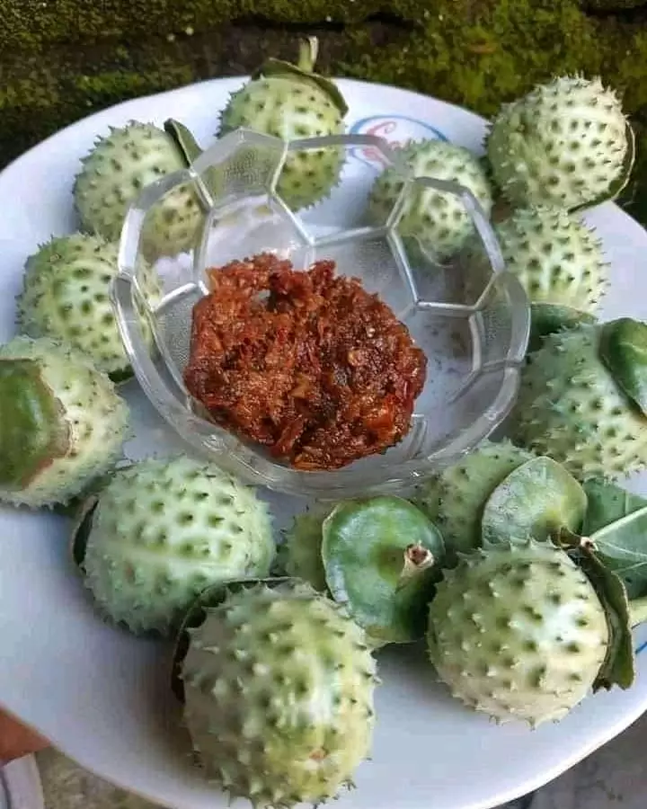 benda nyeleneh disajikan di atas piring © 2021 instagram.com