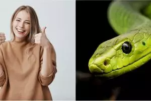 18 Arti mimpi ular menurut Islam dan para ahli, ada makna positifnya