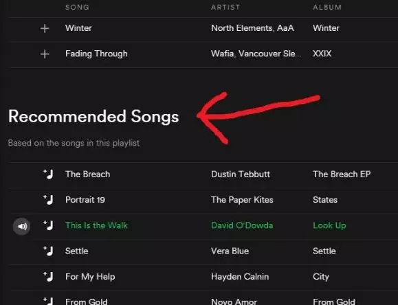 11 Fitur tersembunyi Spotify © 2021 brilio.net