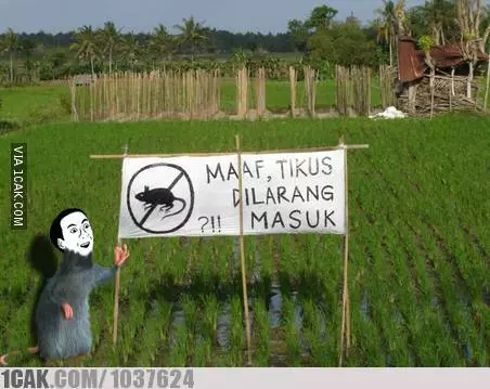 aksi lucu petani bercocok tanam © 2021 berbagai sumber aksi lucu petani bercocok tanam © 2021 berbagai sumber