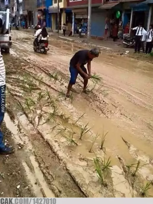 aksi lucu petani bercocok tanam © 2021 berbagai sumber aksi lucu petani bercocok tanam © 2021 berbagai sumber