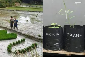 11 Aksi lucu petani +62 saat bercocok tanaman ini ada-ada saja