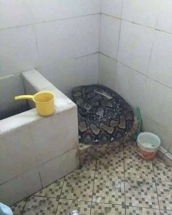 benda nggak biasa ada di kamar mandi © 2021 instagram.com benda nggak biasa ada di kamar mandi © 2021 instagram.com
