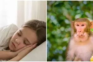 20 Arti mimpi monyet dalam Islam dan primbon Jawa, bisa jadi isyarat kesempatan baik dalam hidupmu