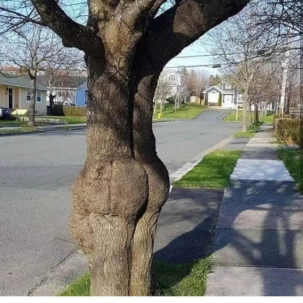 penampakan nyeleneh di jalan kocak banget © 2021 instagram.com