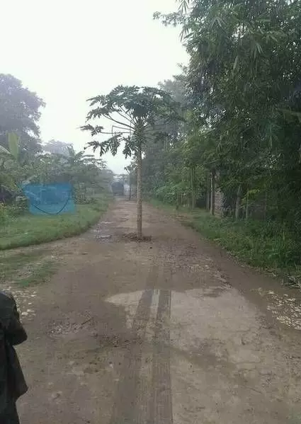 penampakan nyeleneh di jalan kocak banget © 2021 instagram.com