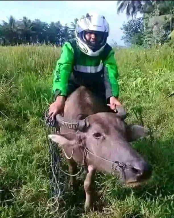 driver ojek online kalau alih profesi © 2021 instagram.com driver ojek online kalau alih profesi © 2021 instagram.com