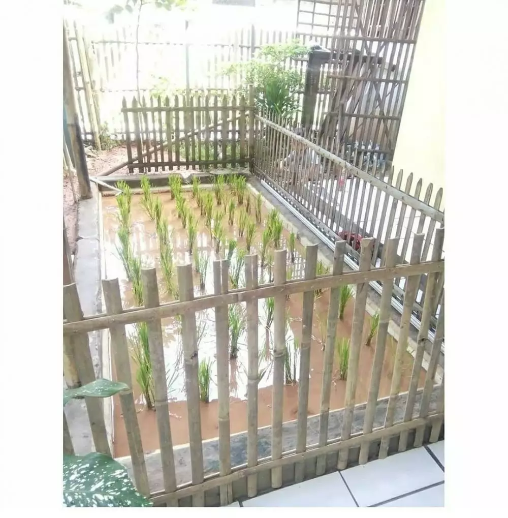 orang manfaatin ruangan lucu banget © 2021 instagram.com orang manfaatin ruangan lucu banget © 2021 instagram.com