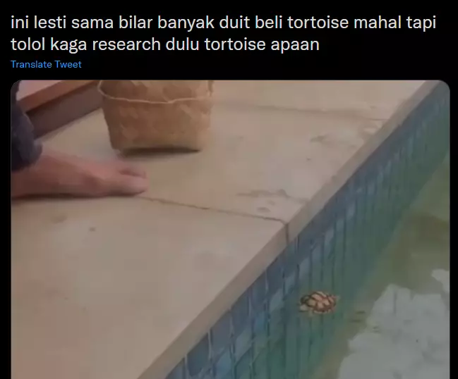 Rizky Billar minta maaf soal kura-kura Instagram