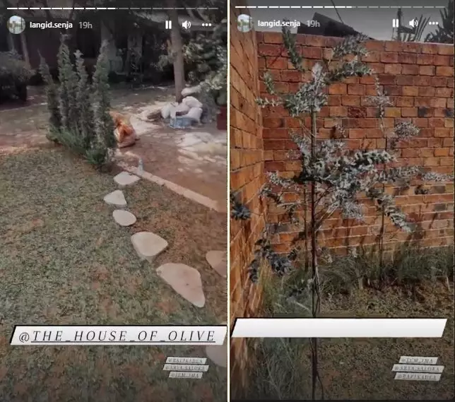 Cara Arya Saloka desain rumah baru © berbagai sumber Cara Arya Saloka desain rumah baru © berbagai sumber