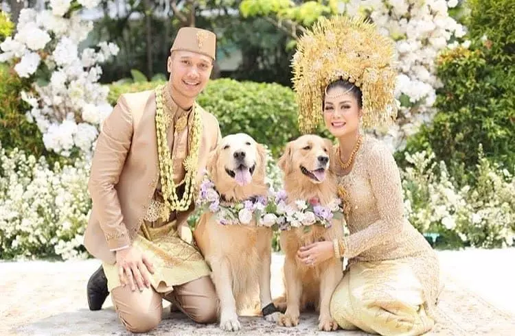 artis tampan menikah dengan dokter Instagram artis tampan menikah dengan dokter Instagram