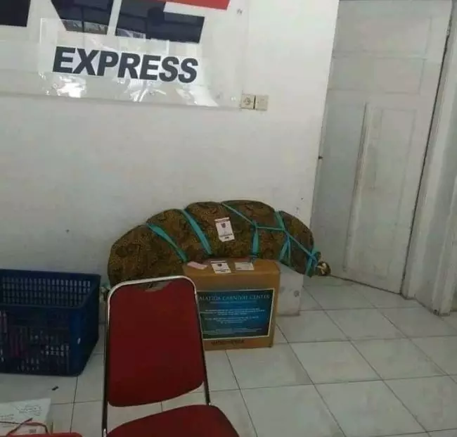 cara bungkus paket malah nyeleneh banget © 2021 twitter.com