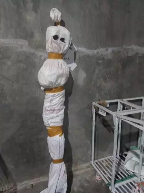 cara bungkus paket malah nyeleneh banget © 2021 twitter.com