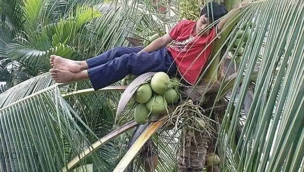 momen rebahan di sembarang tempat ngakak © 2021 instagram.com momen rebahan di sembarang tempat ngakak © 2021 instagram.com