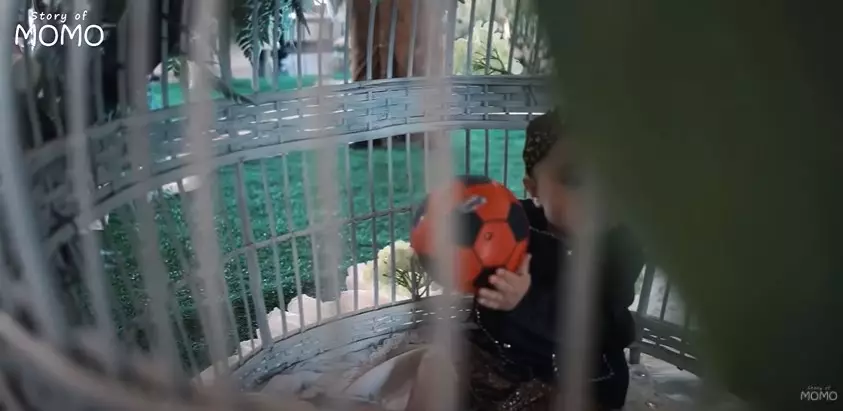 Potret mewahnya tedak siten anak kedua Momo Geisha © 2021 YouTube Potret mewahnya tedak siten anak kedua Momo Geisha © 2021 YouTube