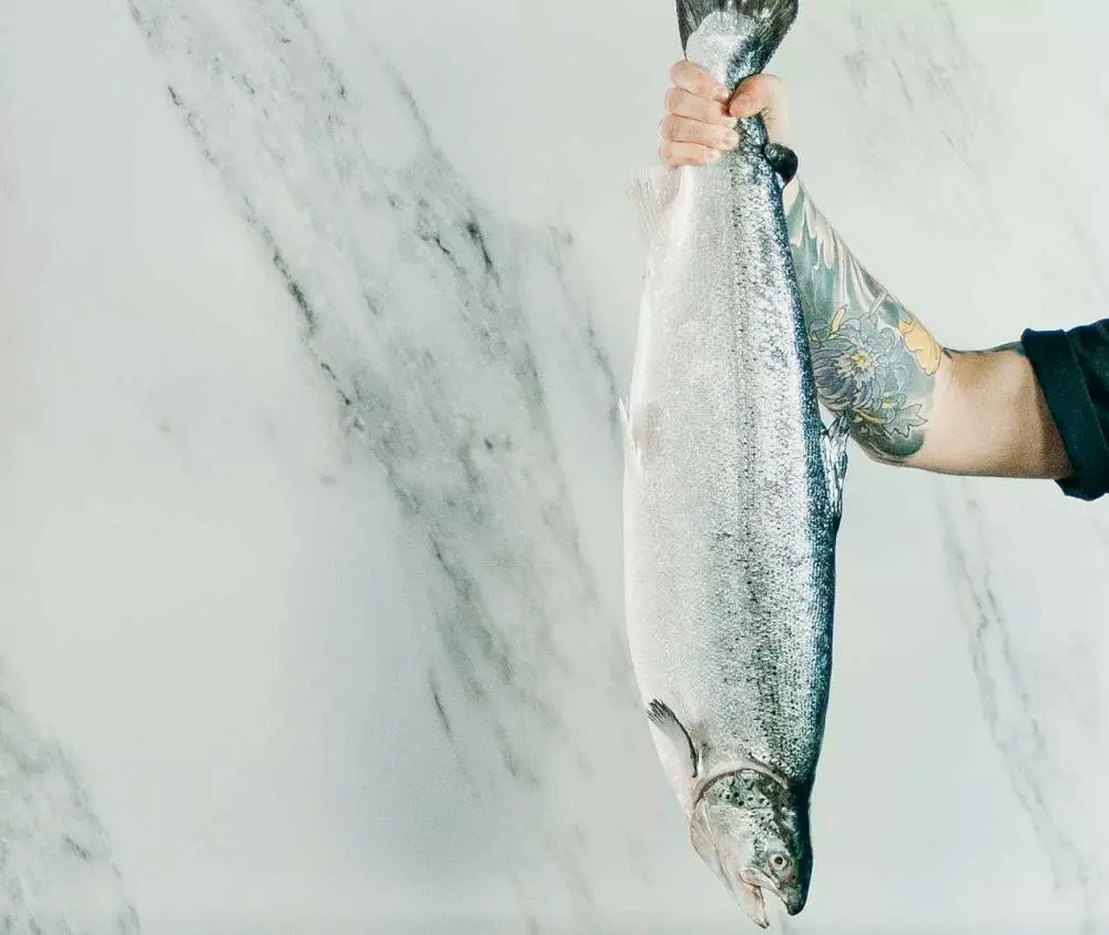 mimpi menangkap ikan © 2021 brilio.net mimpi menangkap ikan © 2021 brilio.net