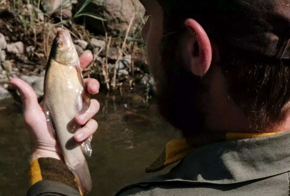 mimpi menangkap ikan © 2021 brilio.net mimpi menangkap ikan © 2021 brilio.net