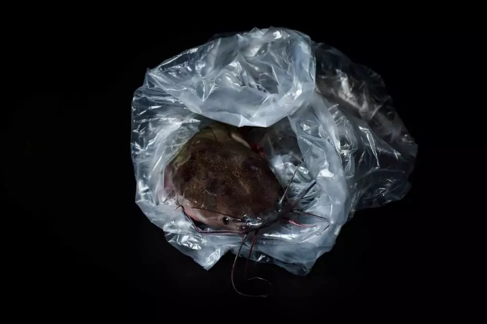 mimpi menangkap ikan © 2021 brilio.net mimpi menangkap ikan © 2021 brilio.net