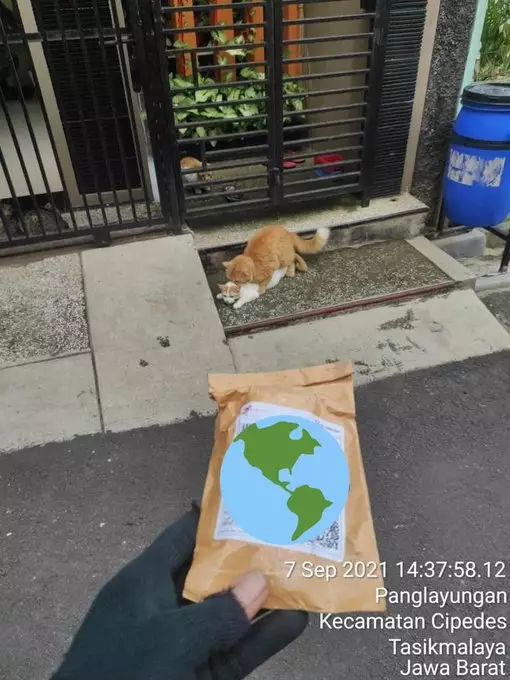 momen lucu kurir datang waktunya nggak pas © 2021 twitter.com