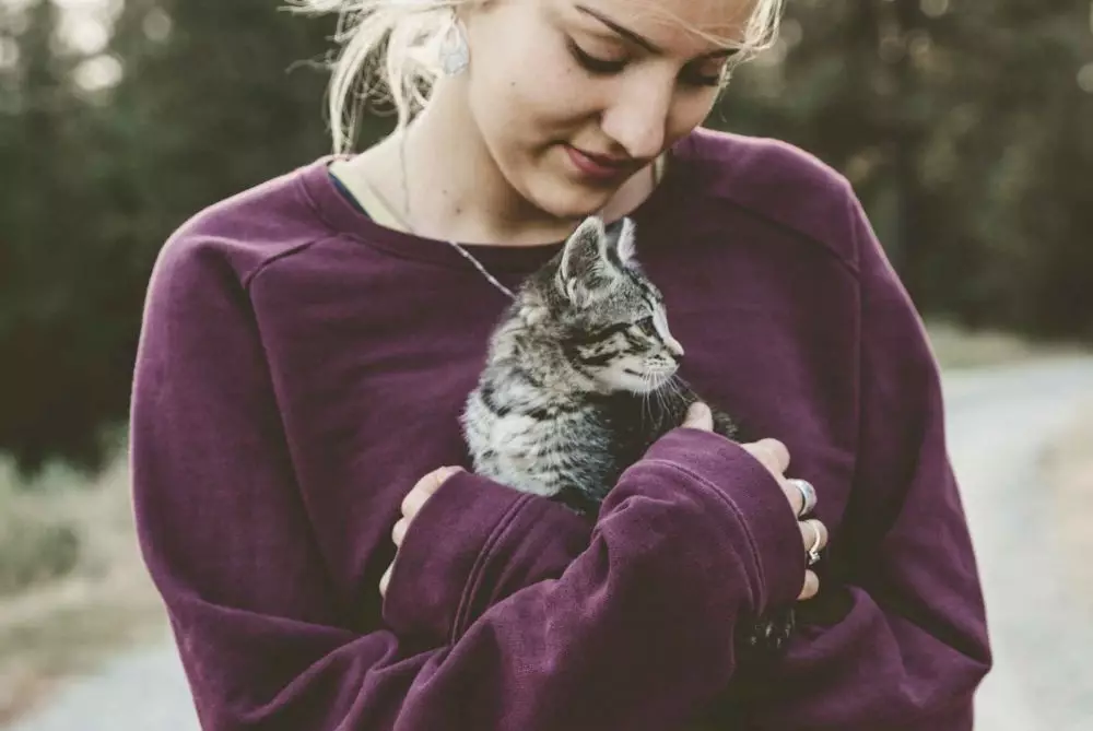 mimpi tentang kucing © 2021 brilio.net mimpi tentang kucing © 2021 brilio.net