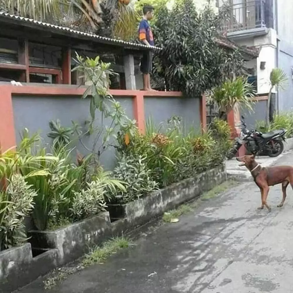 momen lucu pengen marah tapi malah nggak bisa © 2021 instagram.com