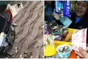 13 Momen lucu pengen marah tapi nggak bisa, bikin jengkel sendiri