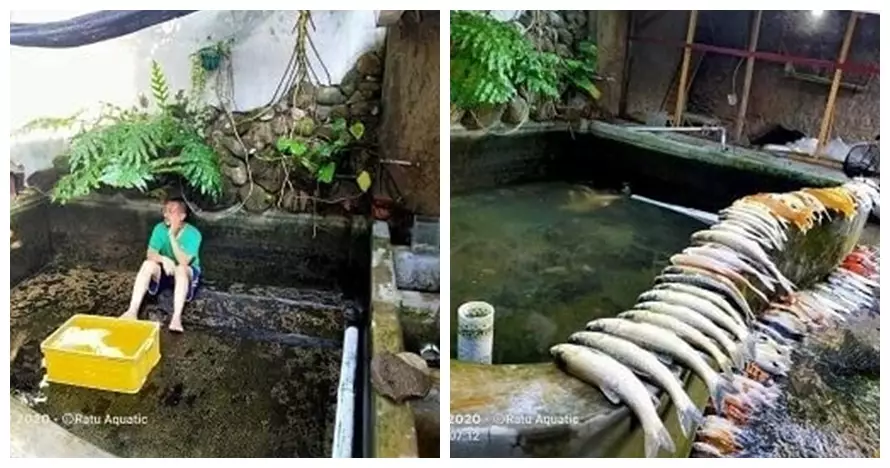 hewan peliharaan ngagetin banget © 2021 instagram.com