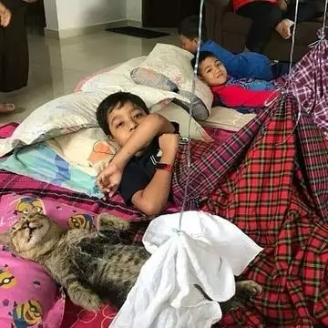 hewan peliharaan ngagetin banget © 2021 instagram.com