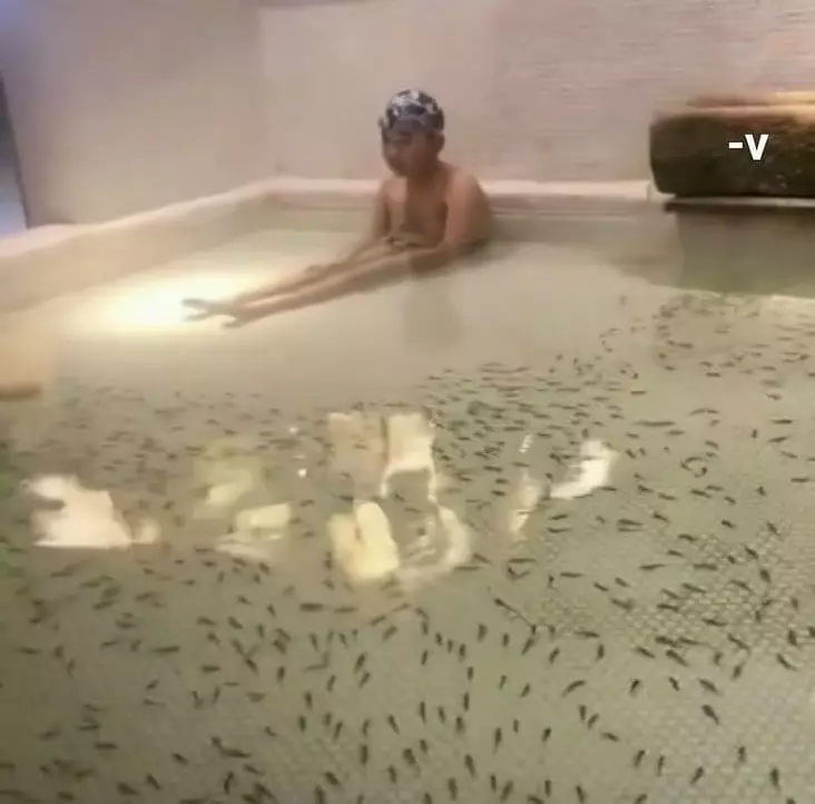 hewan peliharaan ngagetin banget © 2021 instagram.com