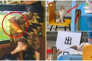 11 Momen tak terduga sama hewan peliharaan, ada yang bikin kaget