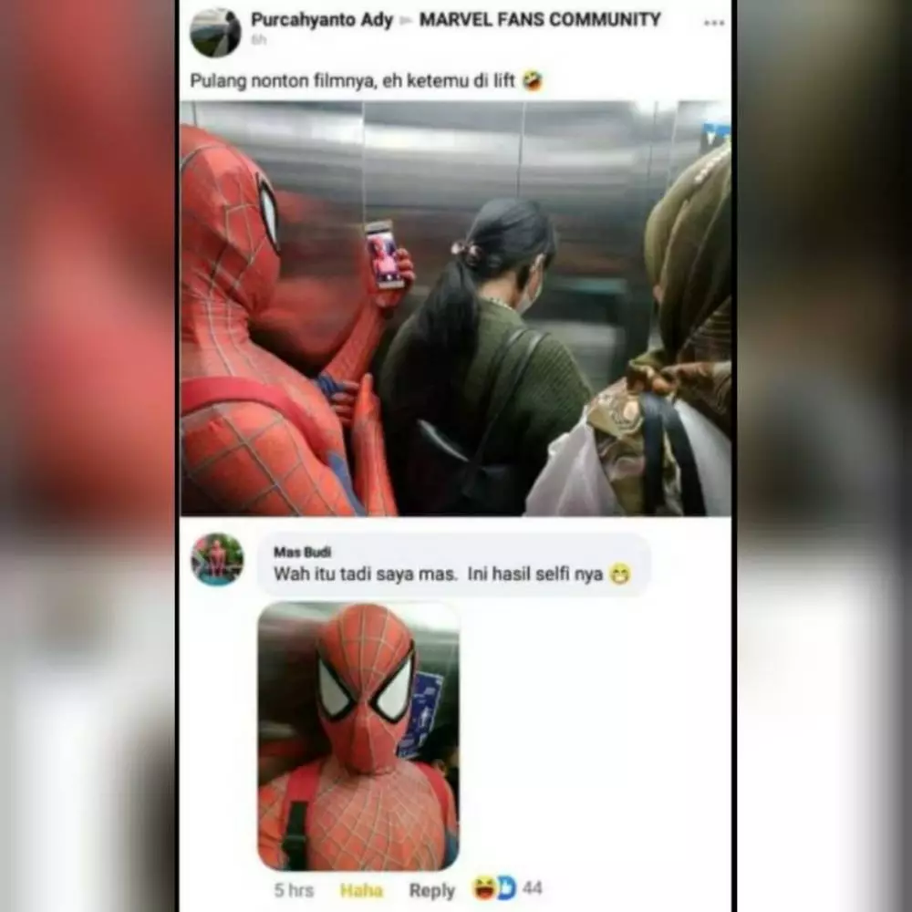 orang pakai kostum spiderman © 2021 berbagai sumber