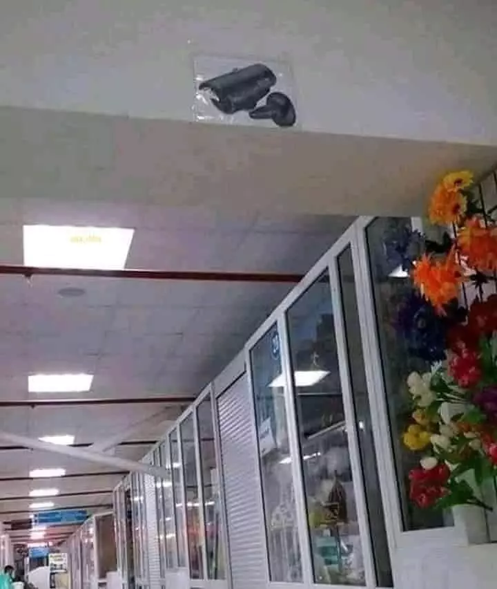 Potret ini menipu mata © 2021 brilio.net Potret ini menipu mata © 2021 brilio.net