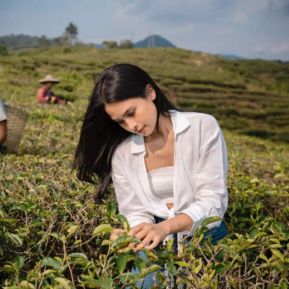 Contoh teks biografi berbagai tokoh terkenal dari berbagai sumber