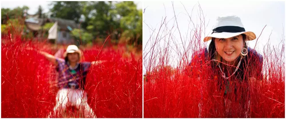 Trik foto viral  © 2021 brilio.net Trik foto viral  © 2021 brilio.net