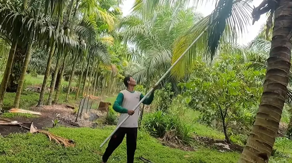 kisah sukses mantan tki paimin © 2021 YouTube