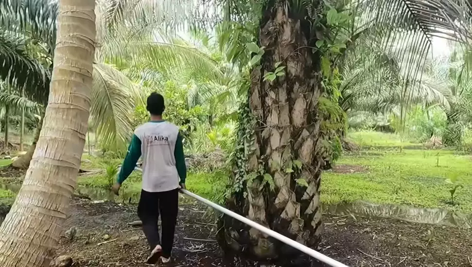 kisah sukses mantan tki paimin © 2021 YouTube