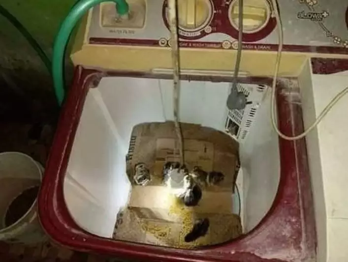 momen lucu hewan nggak muncul nggak teduga © 2021 instagram.com momen lucu hewan nggak muncul nggak teduga © 2021 instagram.com