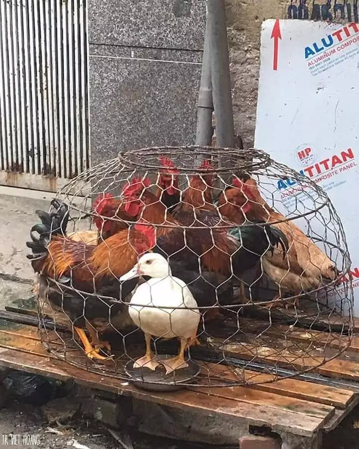 momen lucu jadi paling beda sendiri © 2021 instagram.com