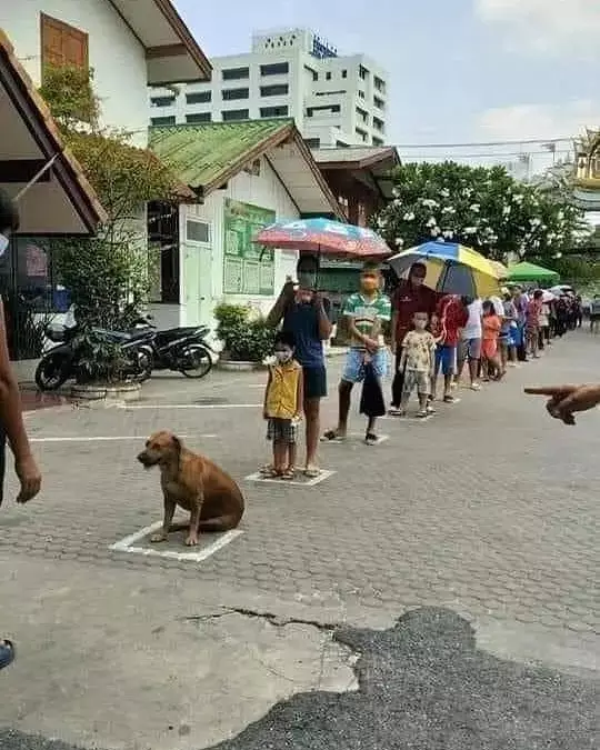 momen lucu jadi paling beda sendiri © 2021 instagram.com