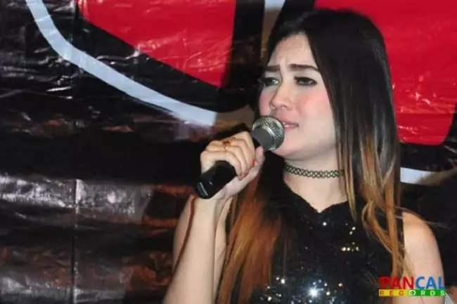 Potret Nella Kharisma saat di panggung keliling Berbagai sumber  Potret Nella Kharisma saat di panggung keliling Berbagai sumber